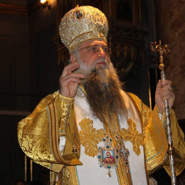 ÎPS Varsanufie, Arhiepiscopul Râmnicului