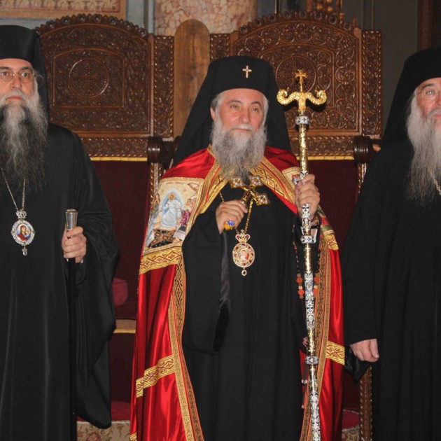 ÎPS Varsanufie, ÎPS Irineu și PS Nicodim