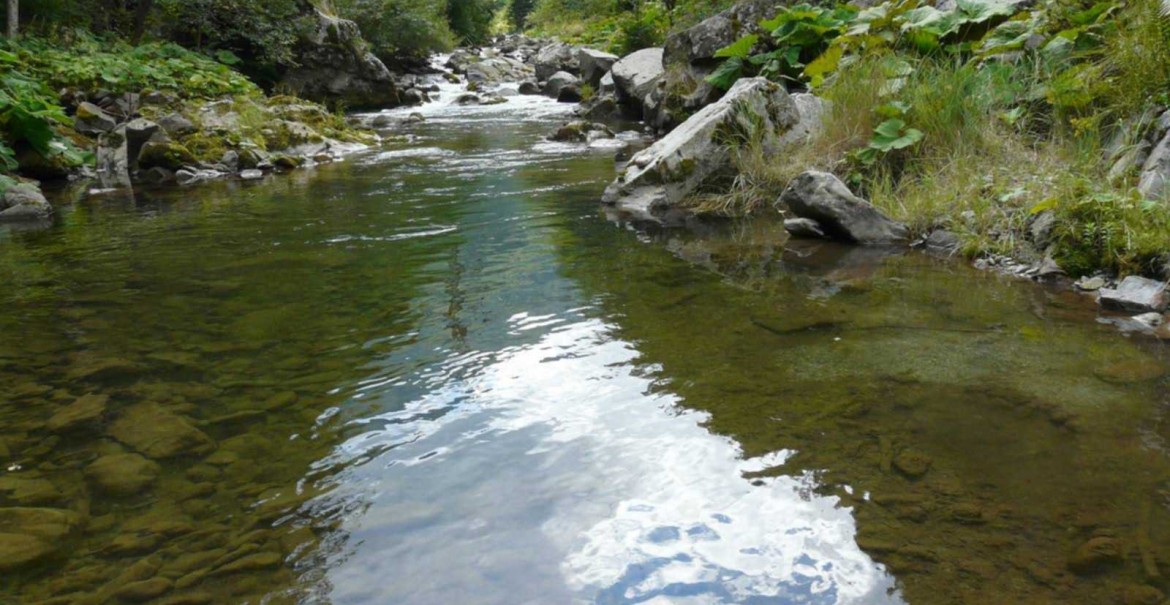 Valea Lotrului - Vâlcea