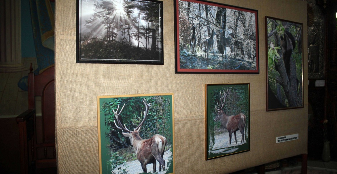 Expoziţie de fotografie Expoziţie de fotografie