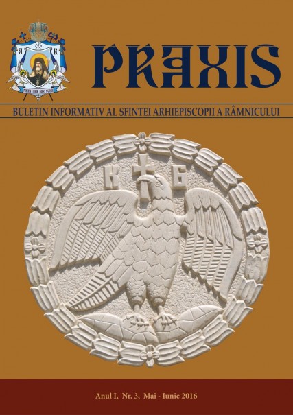 Revista Praxis Nr. 3 - Coperta