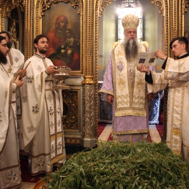 Duminica Floriilor la Catedrala Arhiepiscopală